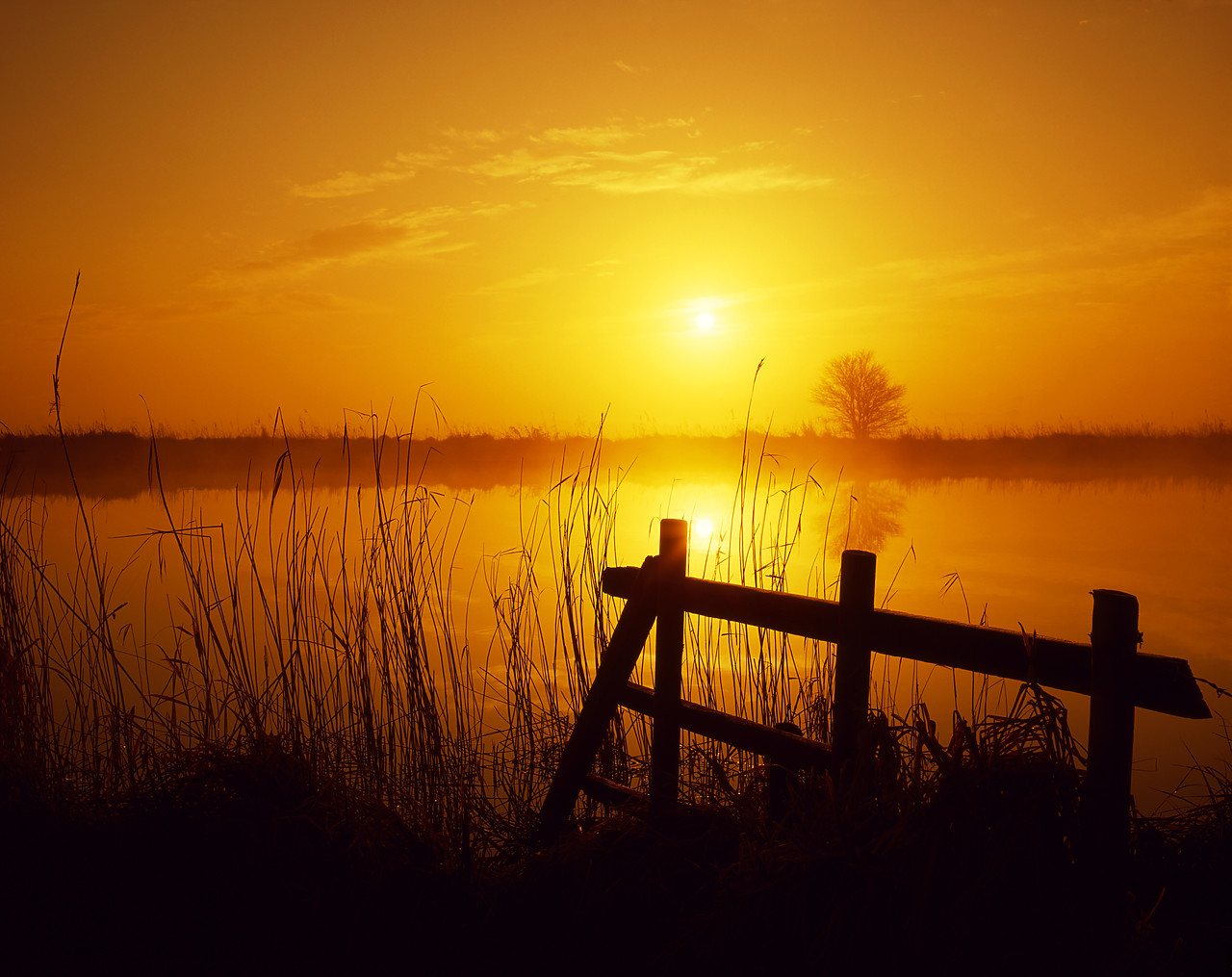#881210-1 - Misty Sunrise over River Bure, Norfolk, England