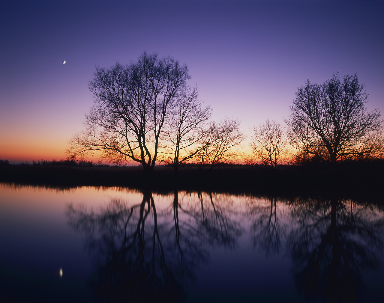 #891829 - Moon & Tree Reflections, River Ant, Norfolk, England