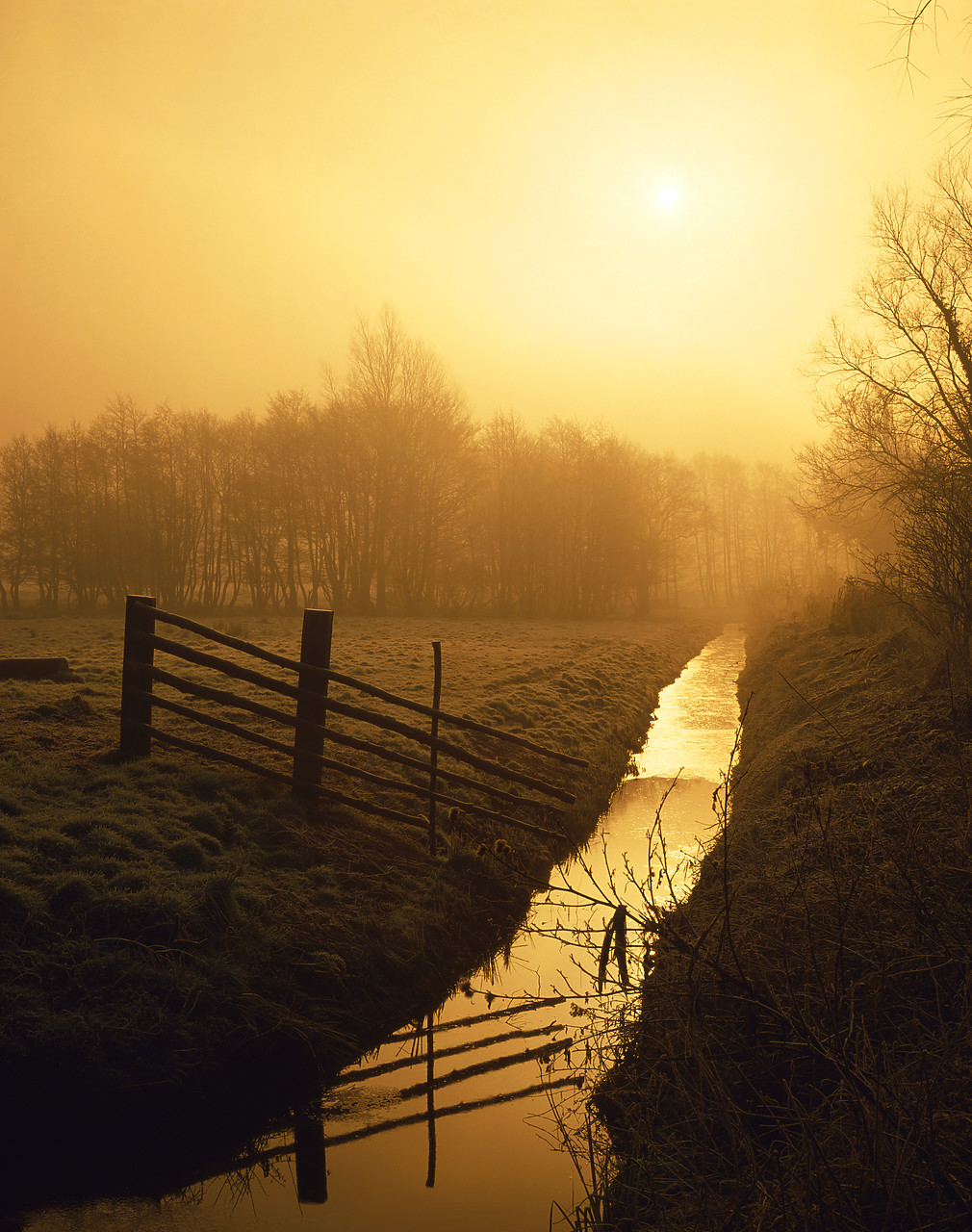 #891850-1 - Misty Sunrise over Dyke, Upton, Norfolk, England