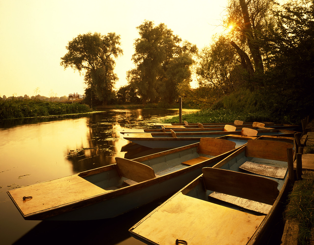 #892412-1 - Punts on River Ouse, Houghton, Cambridgeshire, England