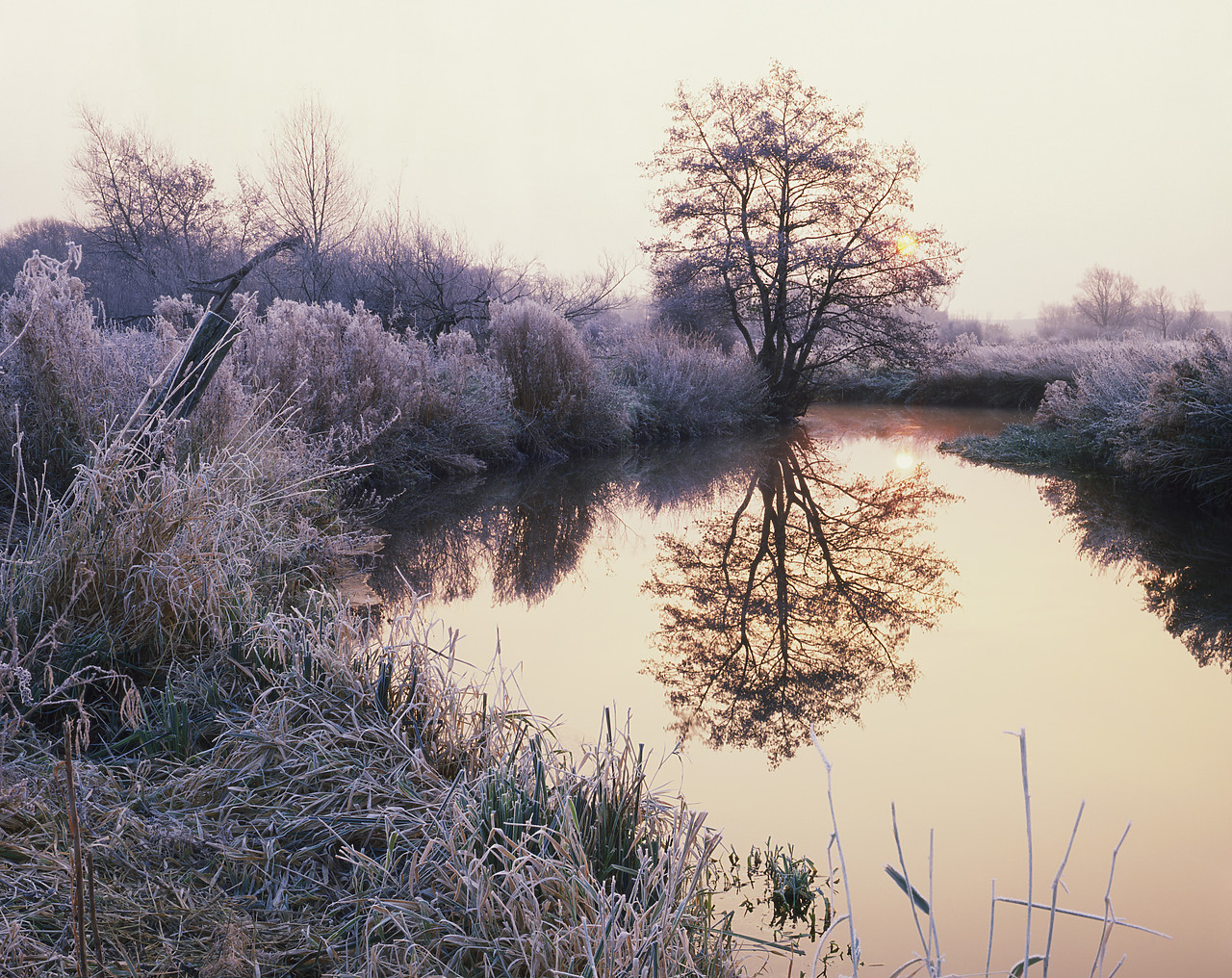 #892518-2 - River Yare at Sunrise, Norwich, Norfolk, England