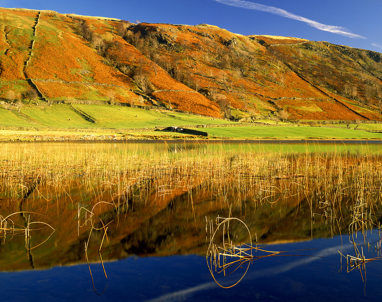 #892524-2 - Watendlath Tarn in Autumn, Lake District, Cumbria, England