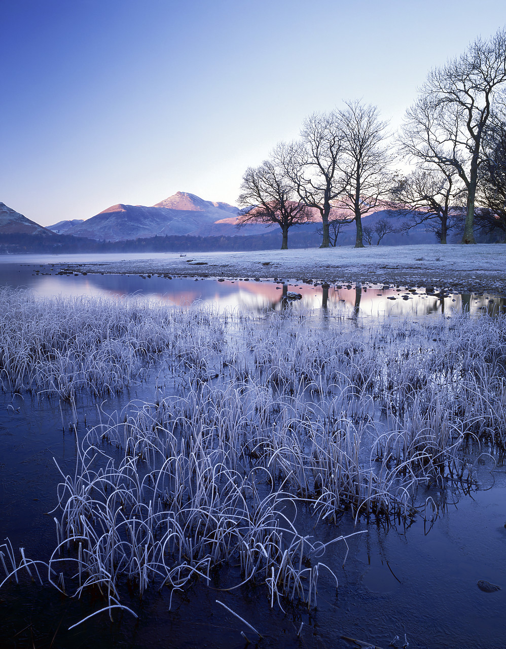 #892580-3 - Front on Derwent Water, Lake District National Park, Cumbria, England