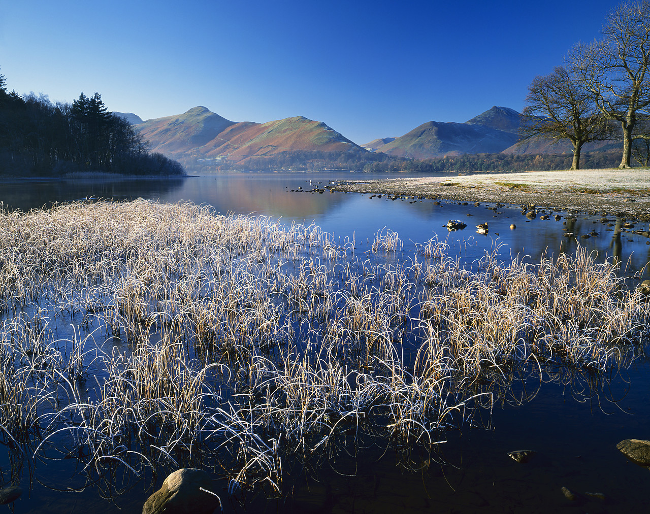 #892581 - Frost on Derwent Water, Lake District National Park, Cumbria, England