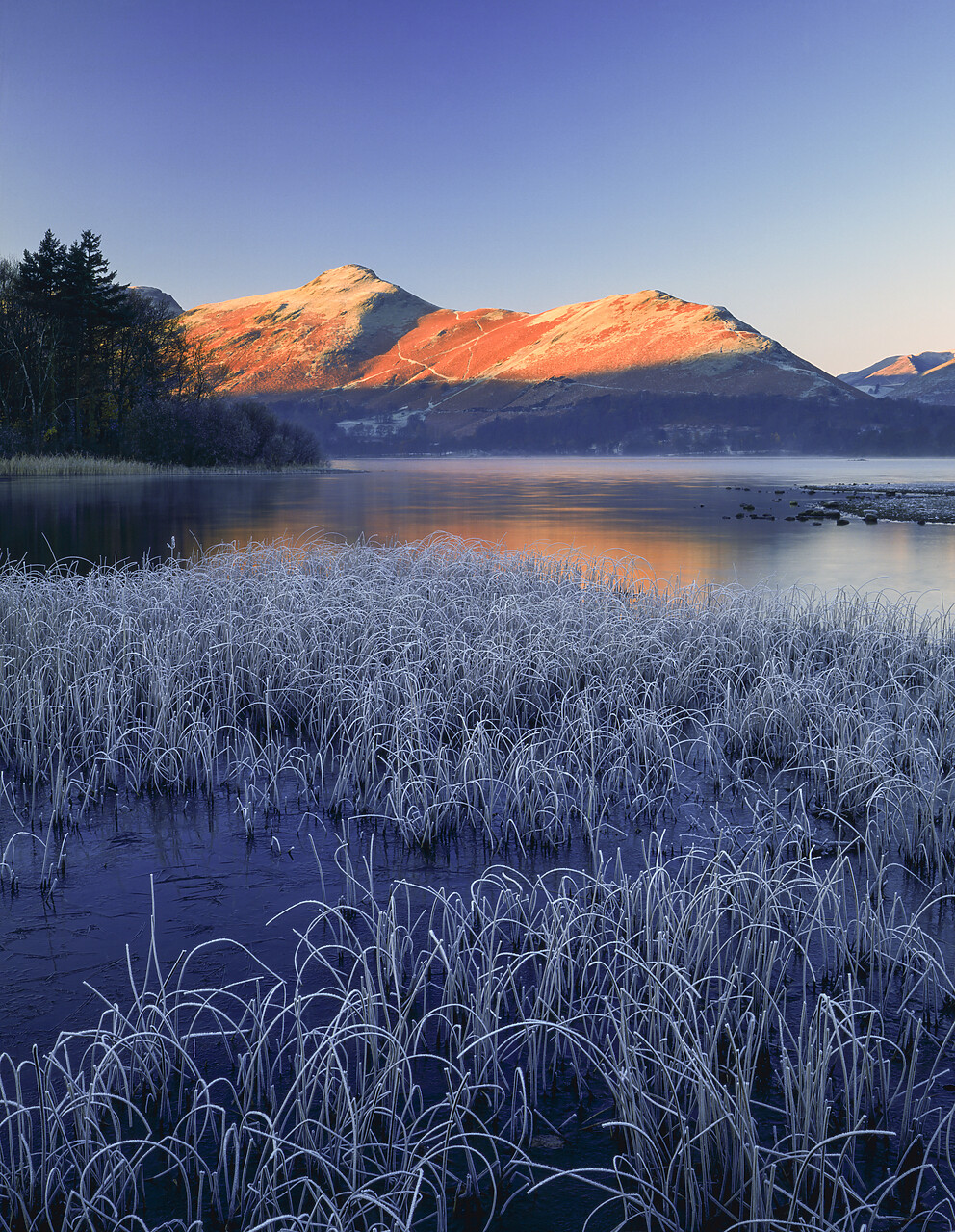 #892582-3 - Frost on Derwent Water, Lake District National Park, Cumbria, England