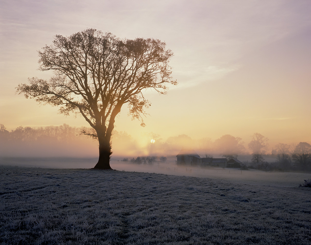 #892591-2 - Misty Sunrise over Farm House, Norfolk, England