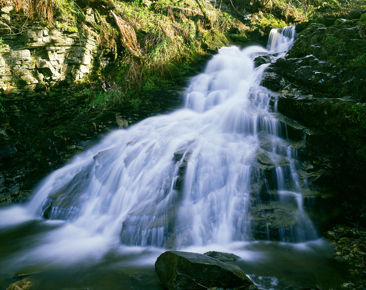 #902788-1 - Forest Waterfall, near Acharn, Tayside Region, Scotland