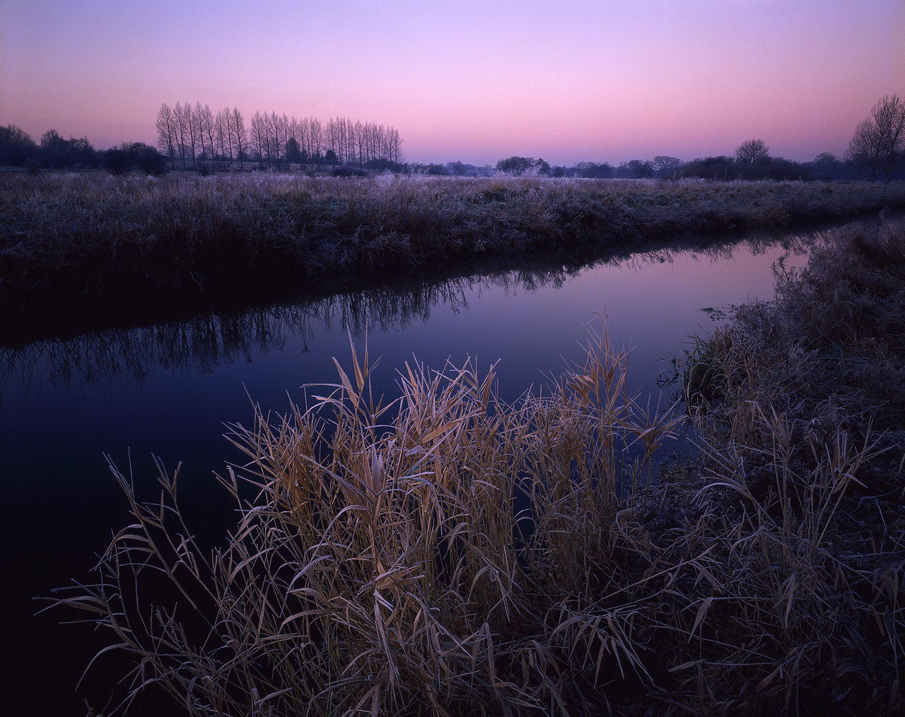 #913223-1 - Morning Frost along River Yare, Norwich, Norfolk, England