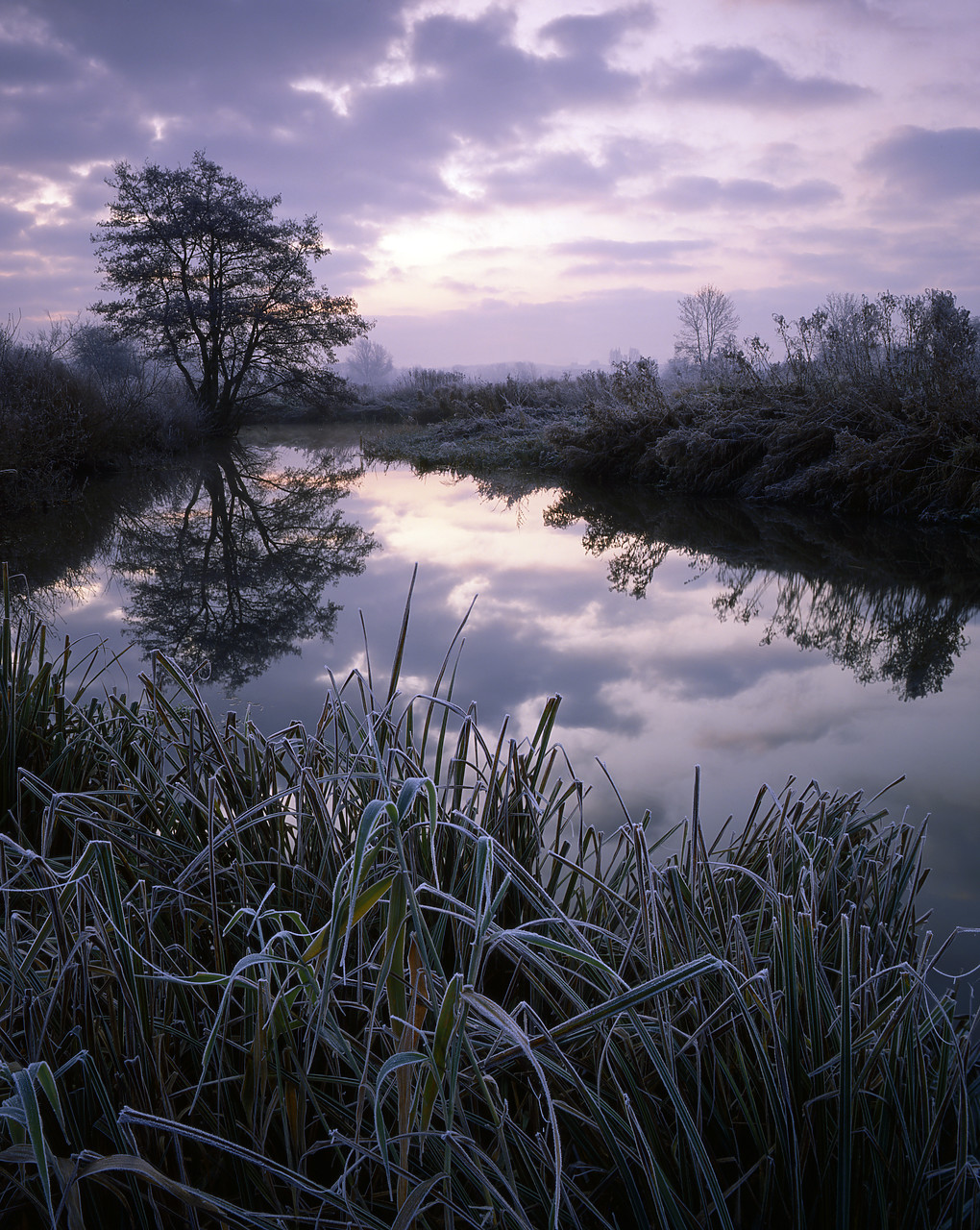 #913858-3 - River Yare Reflections in Frost, Norwich, Norfolk, England