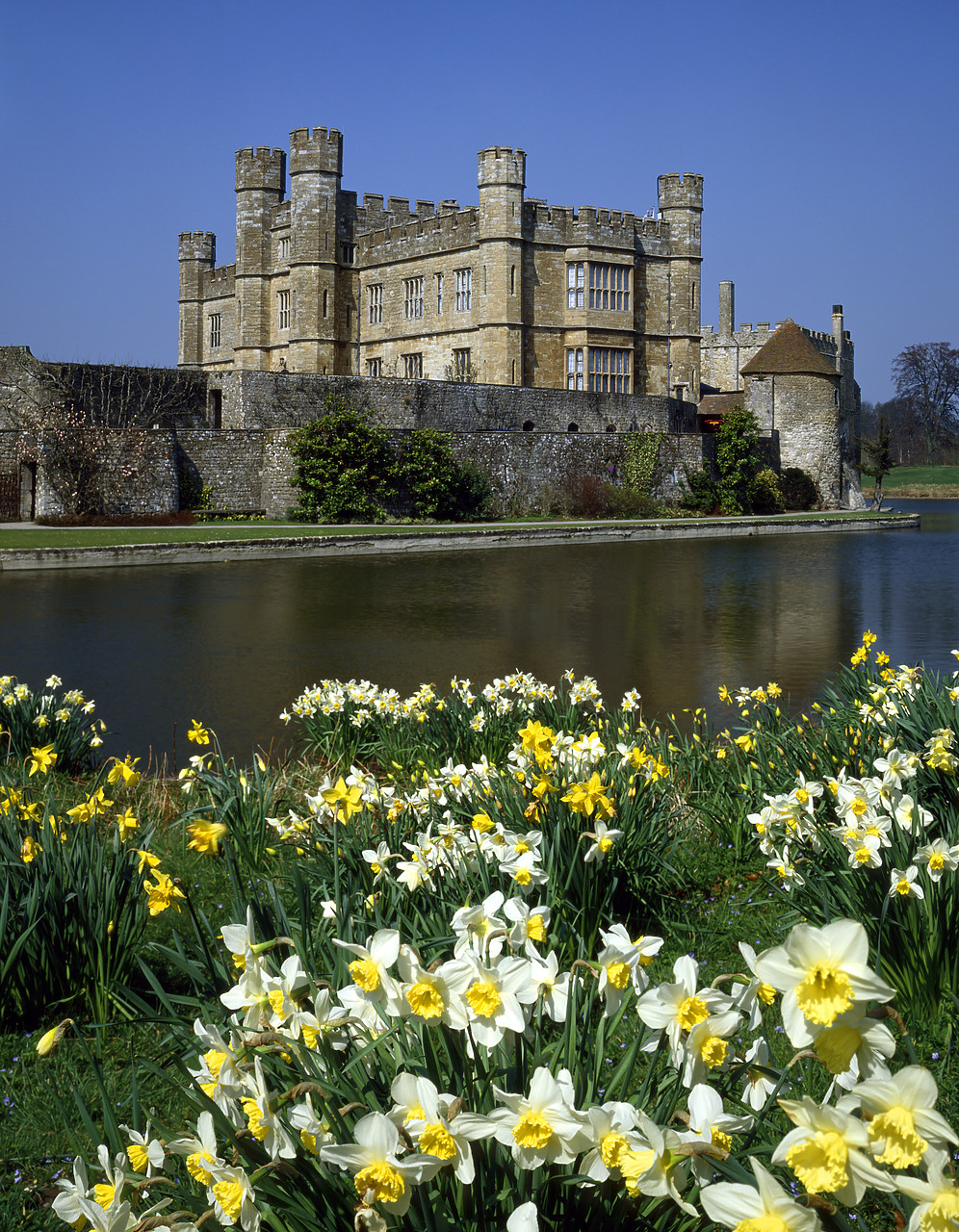 #923953-1 - Leeds Castle in Spring, Leeds, Kent, England