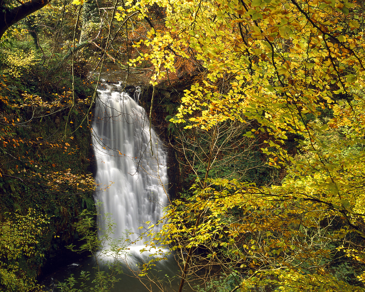 #924120-2 - Falling Foss In Autumn, Yprkshire Moors, England