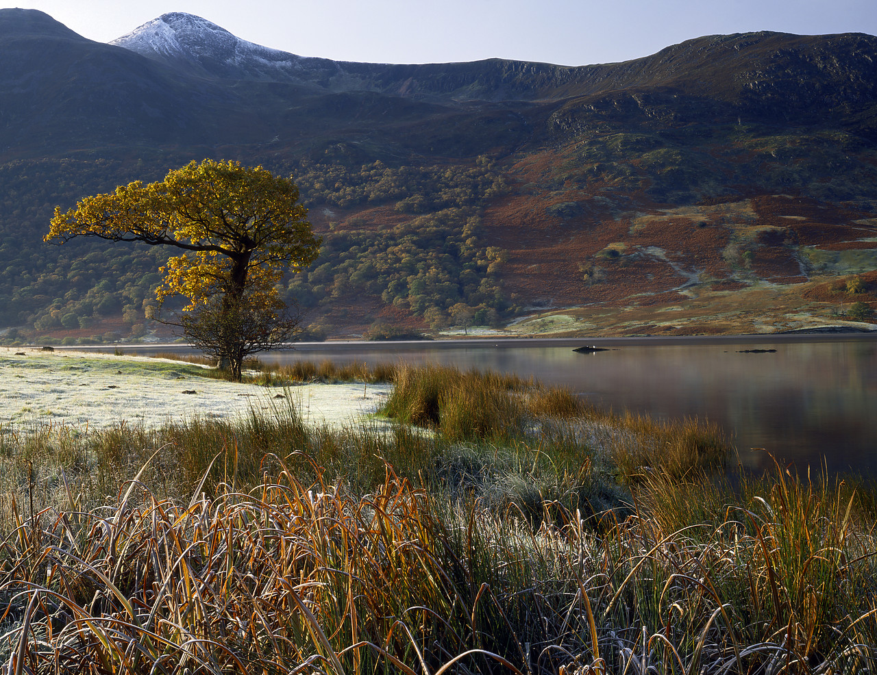 #924123-1 - Frost along Lake Buttermere, Lake District National Park, Cumbria, England