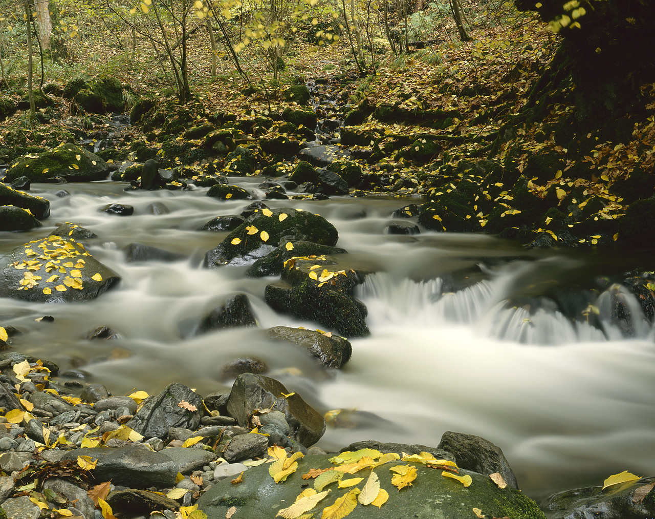 #924130 - River Stock in Autumn, Ambleside, Lake District National Park, Cumbria, England