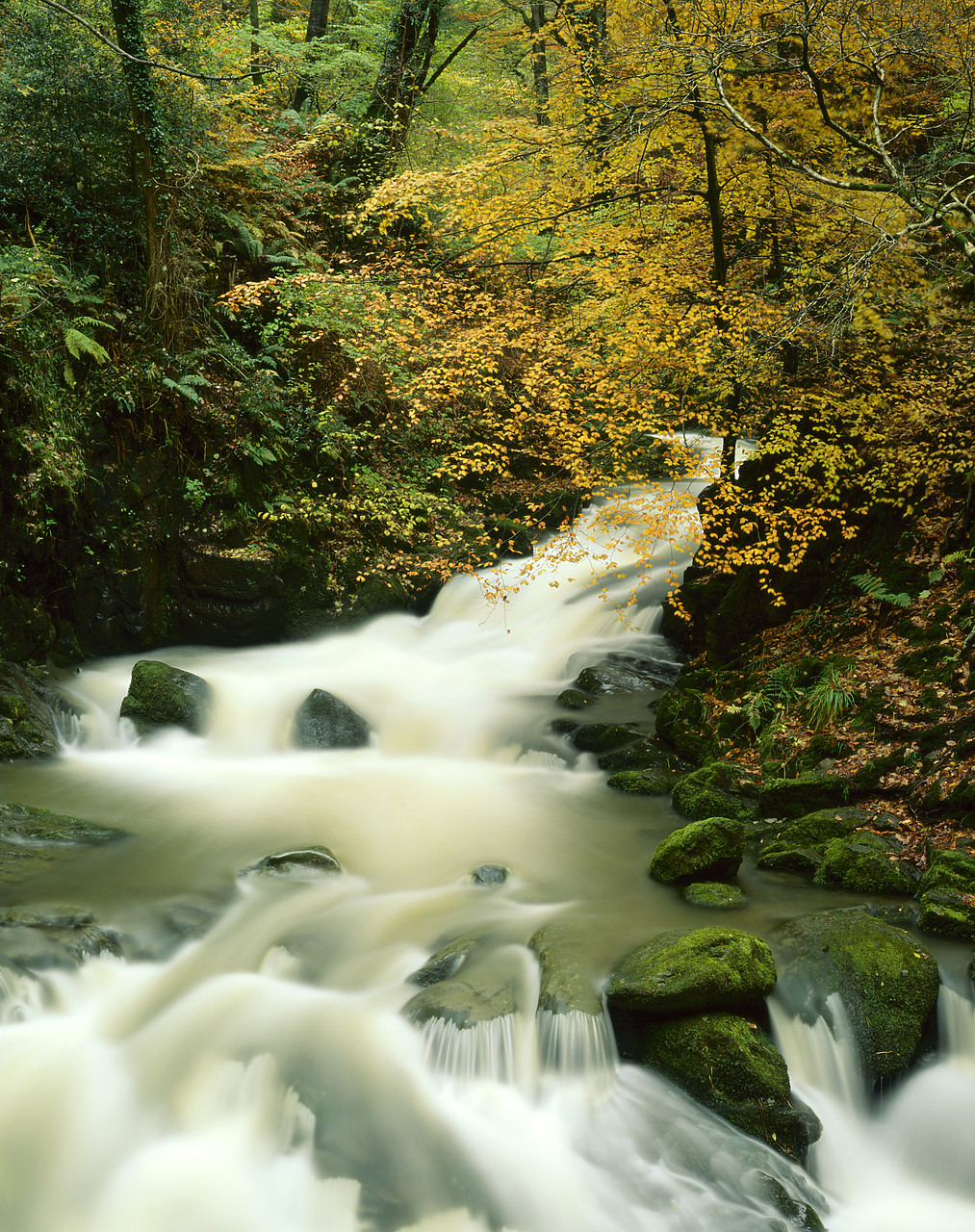#924131-2 - River Stock in Autumn, Ambleside, Lake District National Park, Cumbria, England
