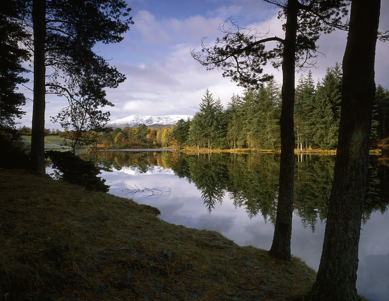 #924148-1 - Tarn Hows, Lake District National Park, Cumbria, England
