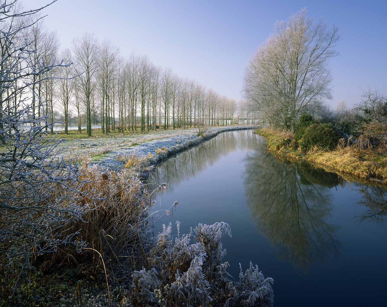 #934167-1 - Frost along River Bure, Burgh-next-Aylsham, Norfolk, England