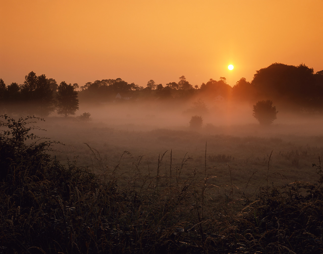 #934347-1 - Sunrise over Fields in Mist, Stoke Holy Cross, Norfolk, England