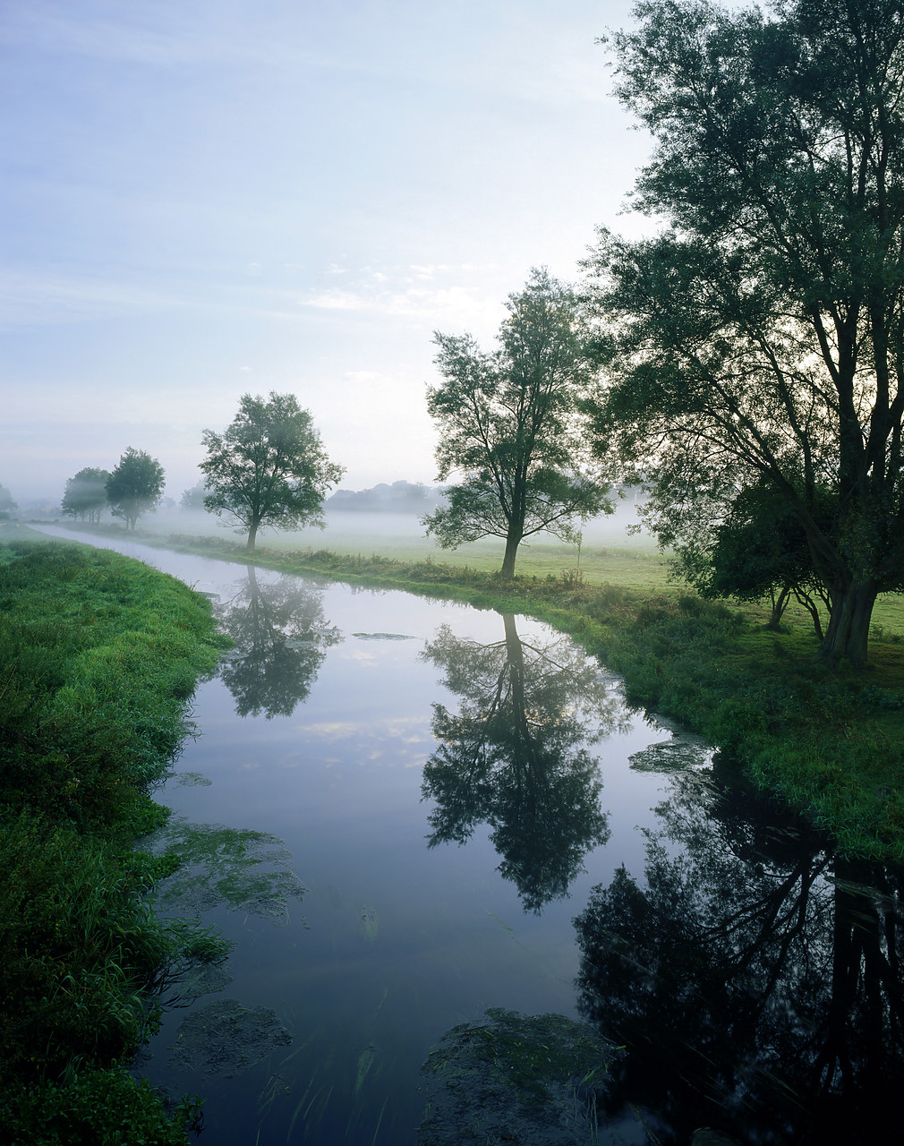 #934430-3 - Trees Reflecting in River Bure, Bure-next-Aylsham, Norfolk, England