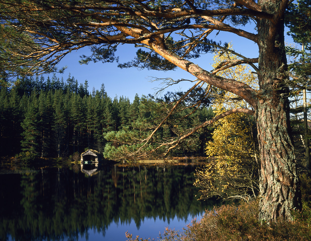 #934467-1 - Loch Tanar, Aboyne, Grampian Region, Scotland
