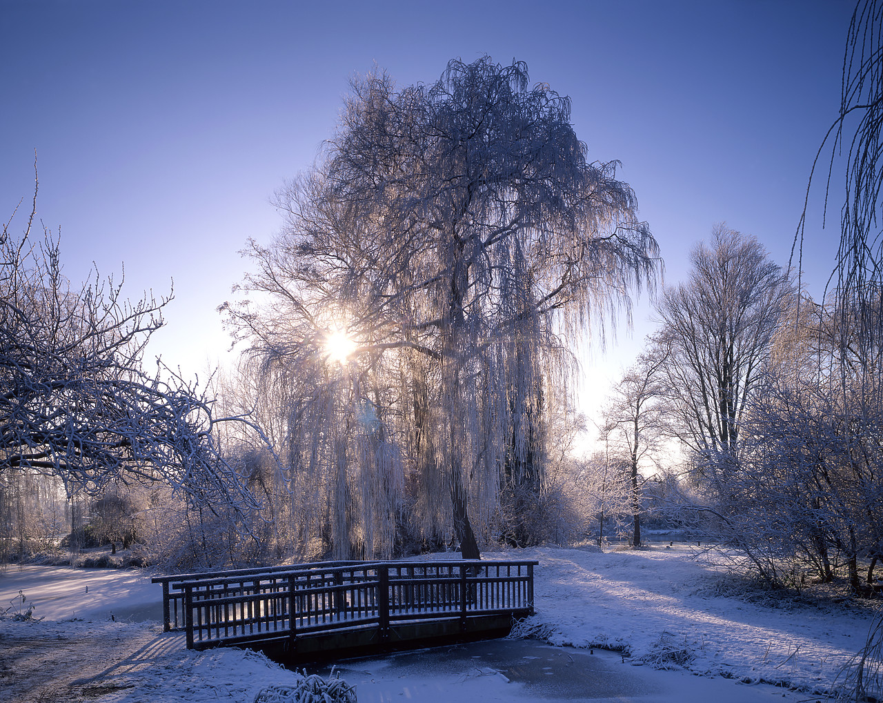 #955904-1 - Wensum Park Gardens in Winter, Norwich, England