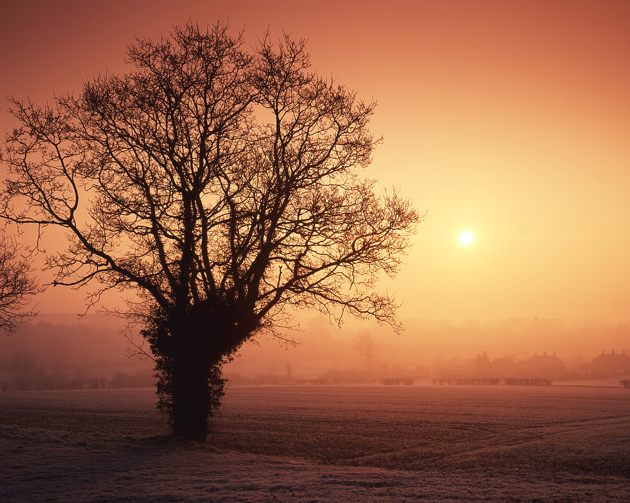 #955963-1 - Misty Sunrise over Fields, Shotesham, Norfolk, England