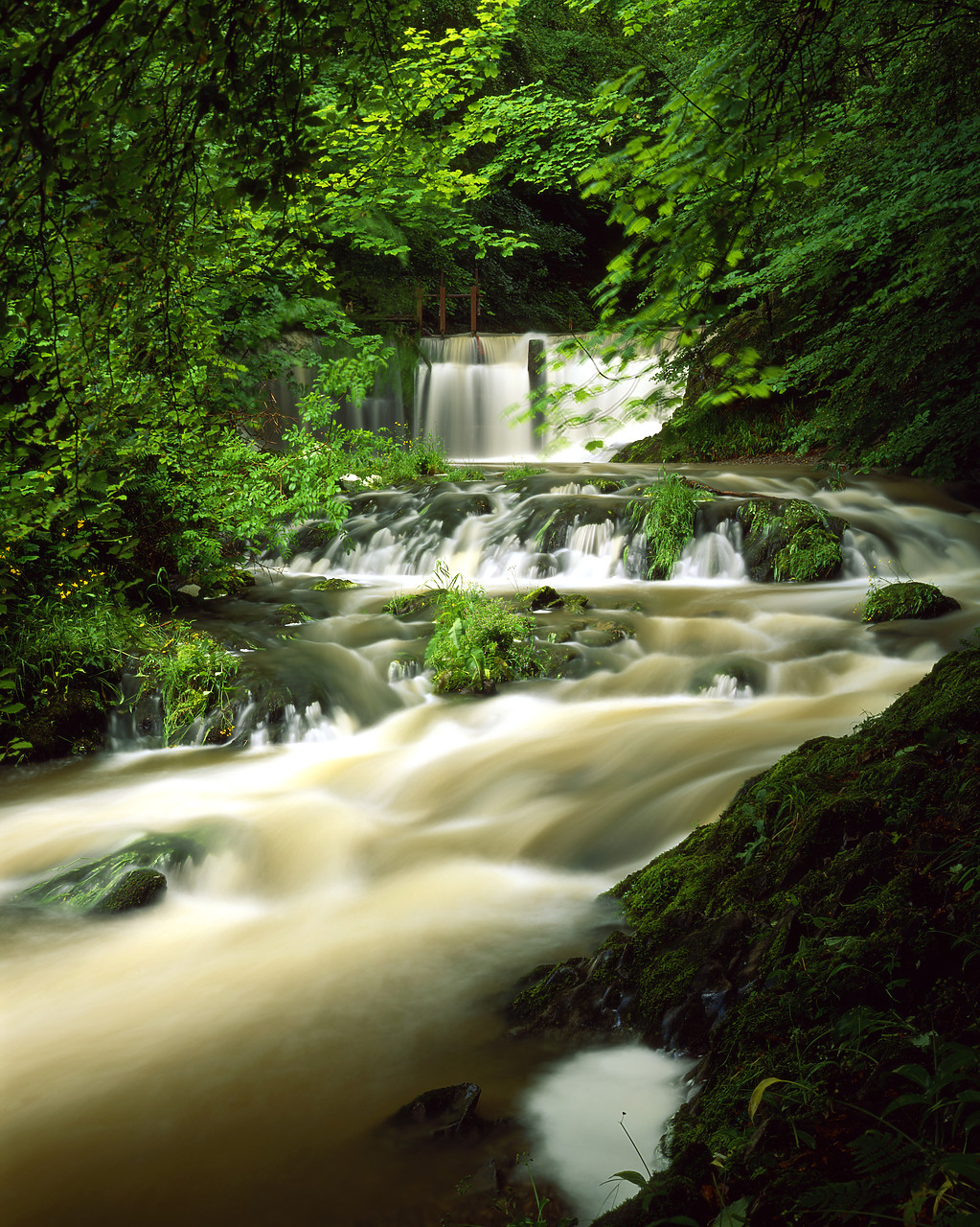 #966103-3 - River Stock, Ambleside, Cumbria, England