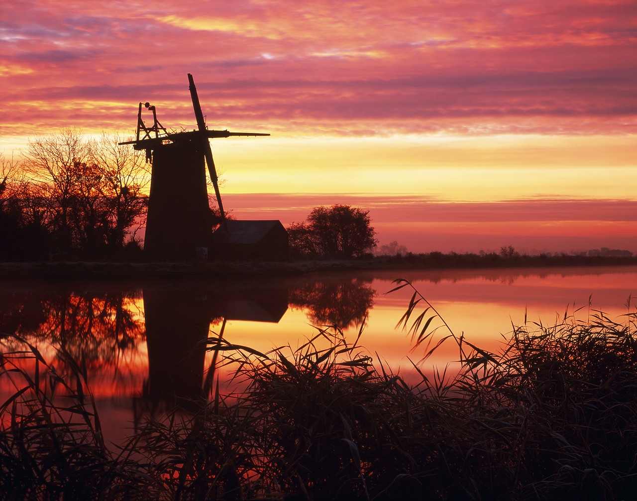 #966238-1 - Oby Mill at Sunrise, Norfolk Broads National Park, England