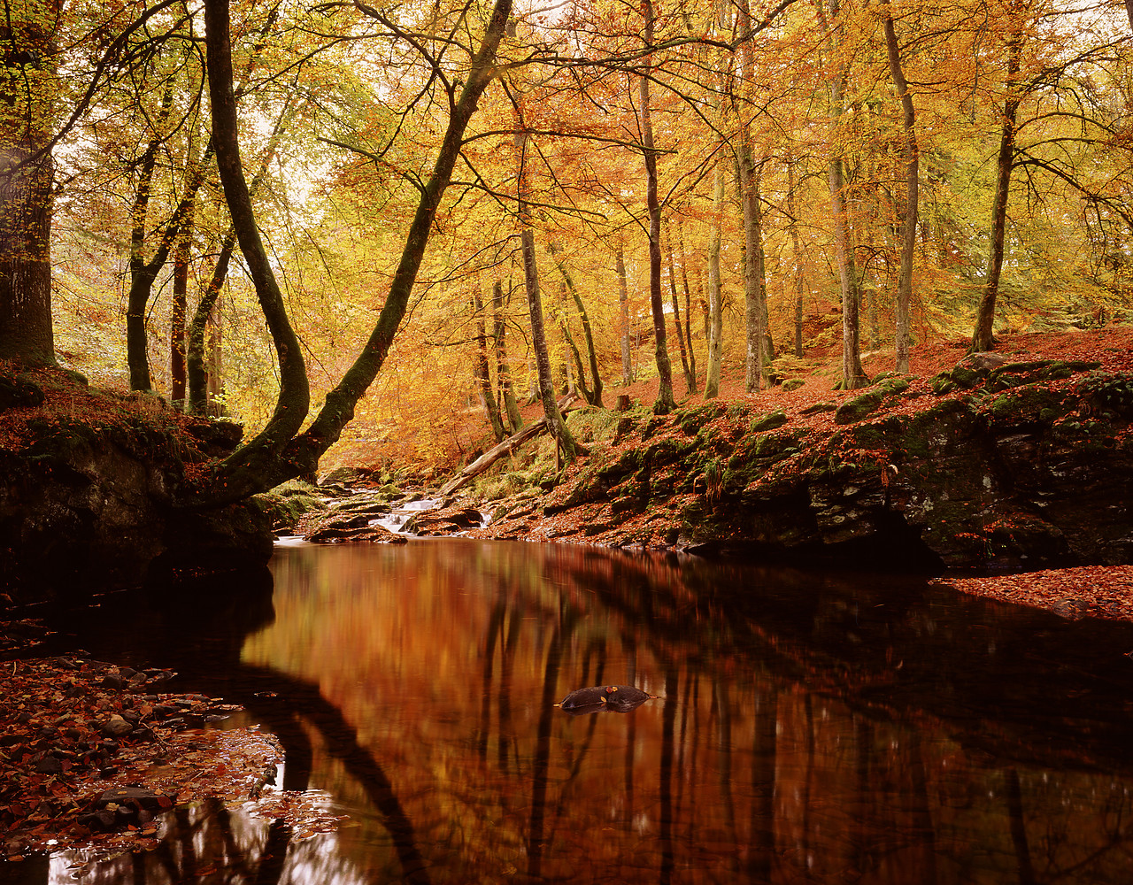 #970486-1 - The Birks of Aberfeldy in Autumn, Aberfeldy, Tayside Region, Scotland