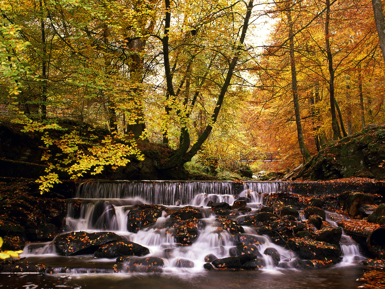 #970492-2 - The Birks in Autumn, Aberfeldy, Tayside Region, Scotland