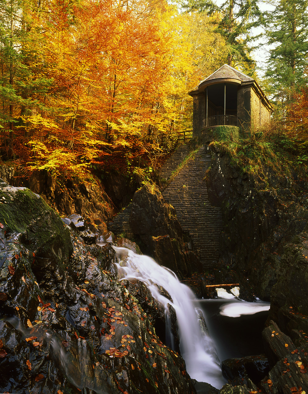 #970494-3 - The Hermitage in Autumn, Dunkeld, Tayside Region, Scotland
