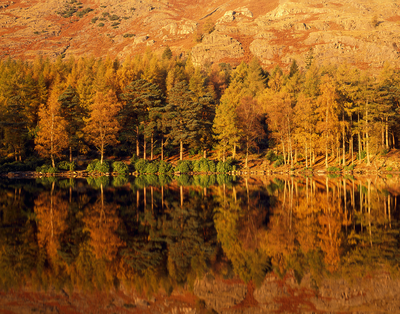 #970499-1 - Blea Tarn Reflections, Lake District National Park, Cumbria, England