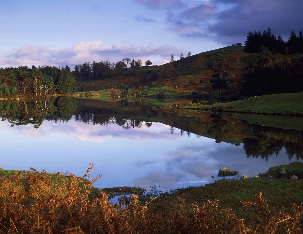 #980993-1 - Tarn Hows Reflections, Lake District National Park, Cumbria, England