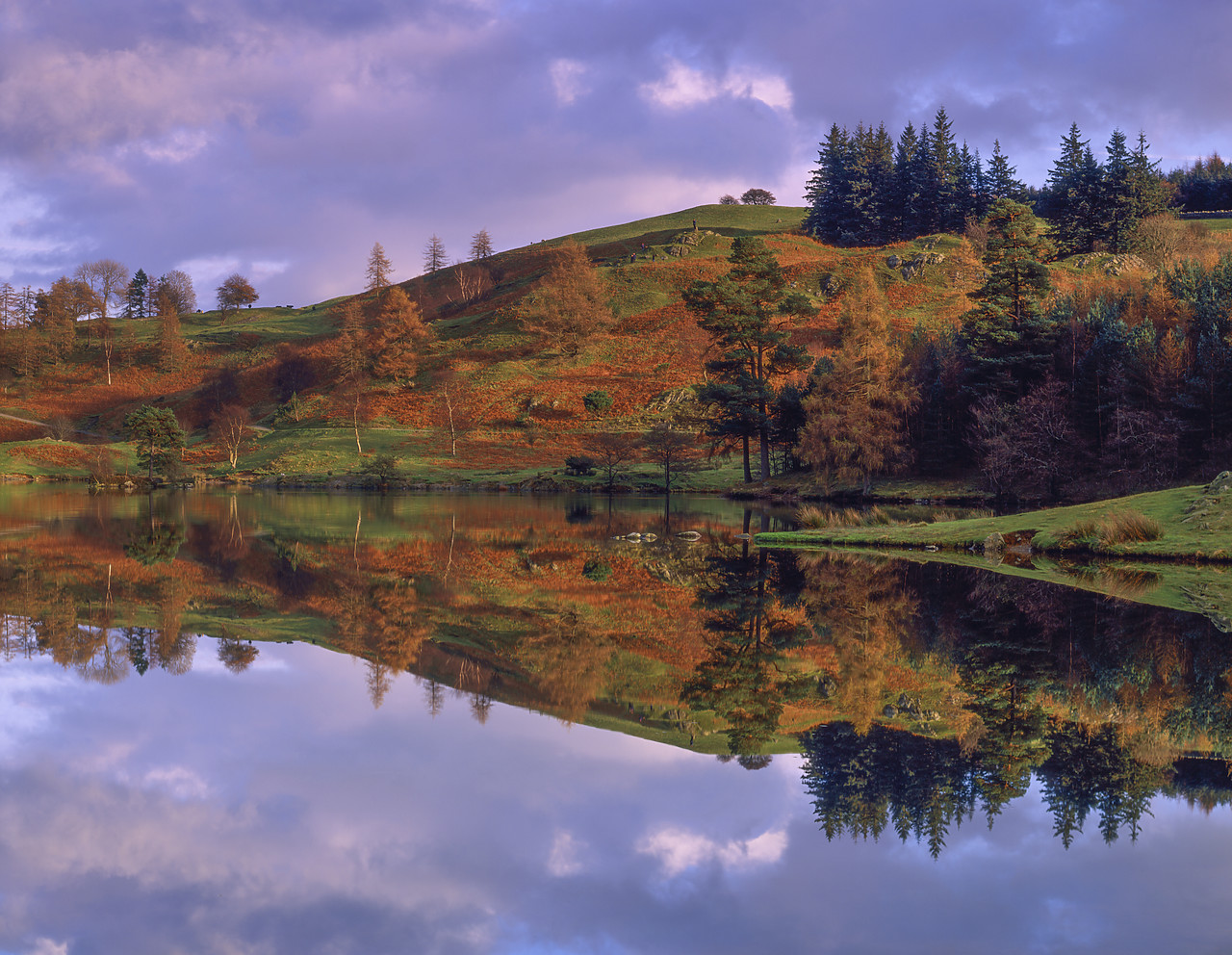 #980994-1 - Tarn Hows Reflections, Lake District National Park, Cumbria