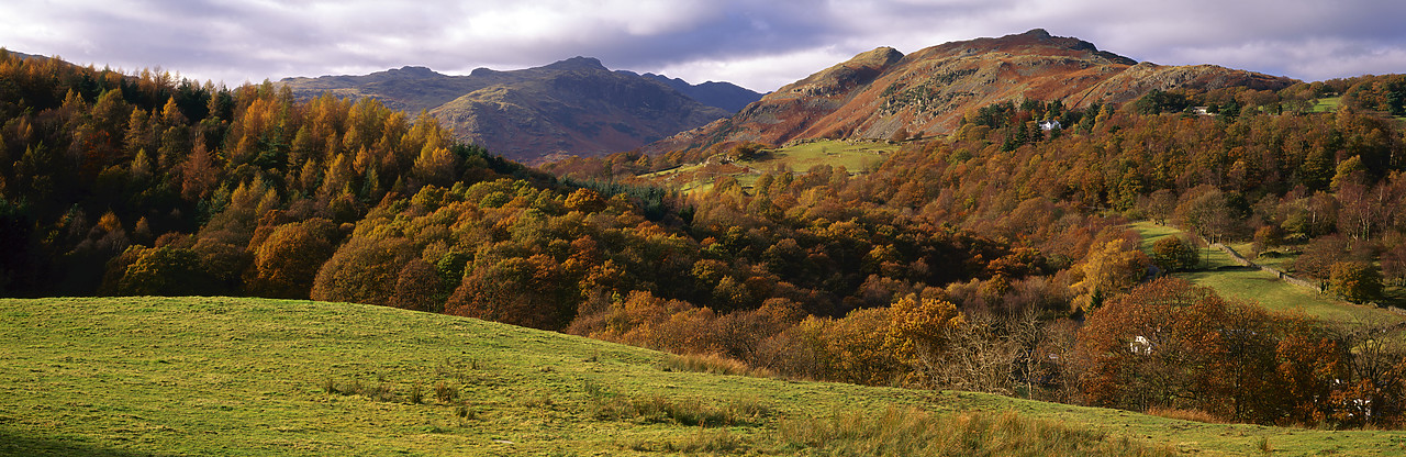 #981001-2 - View over Little Langdale in Autumn, Lake District National Park, Cumbria. England