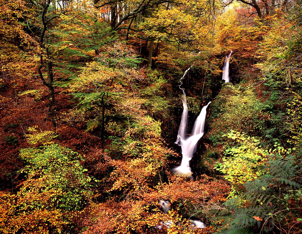 #990705-1 - Stockghyll Force, Ambleside, Lake District, Cumbria, England
