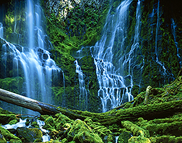 Proxy Falls, Three Sisters Wilderness Area, Oregon, USA