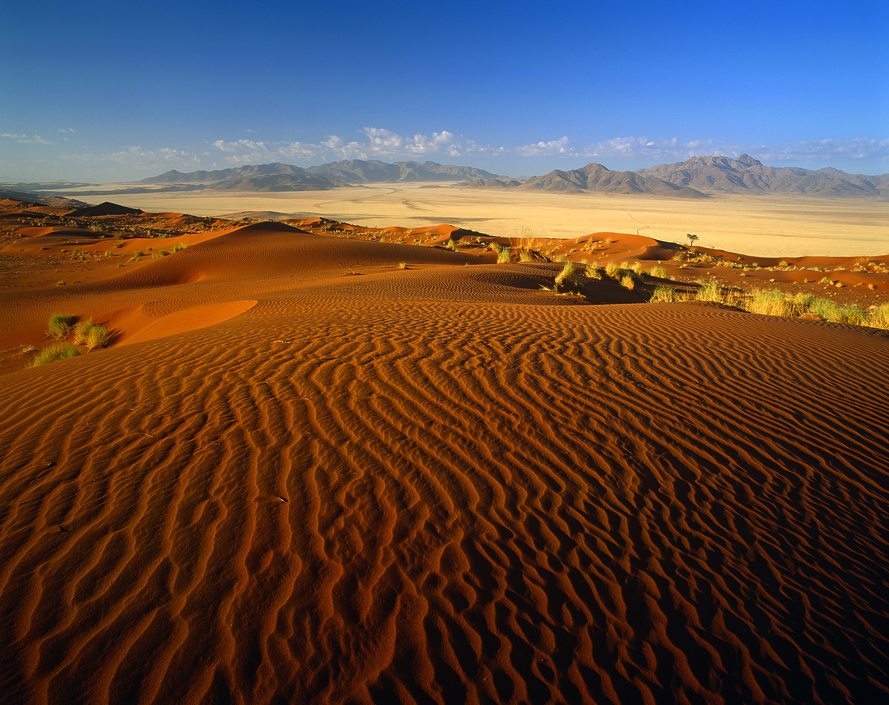 #010007-1 - Sand Dune, Namib Rand, Namibia, Africa