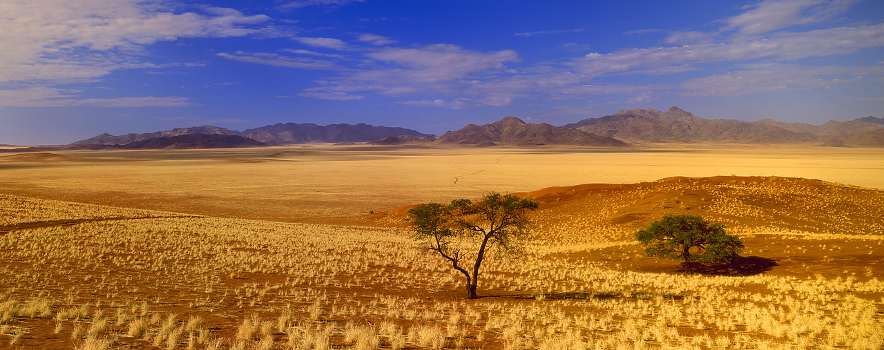 #010010-1 - Namib Desert, Namib Rand, Namibia, Africa