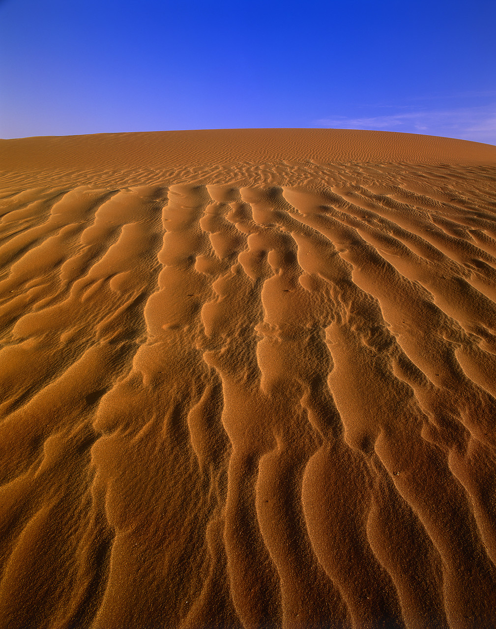 #010060-1 - Sand Dunes, Sossusvlei, Namibia, Africa