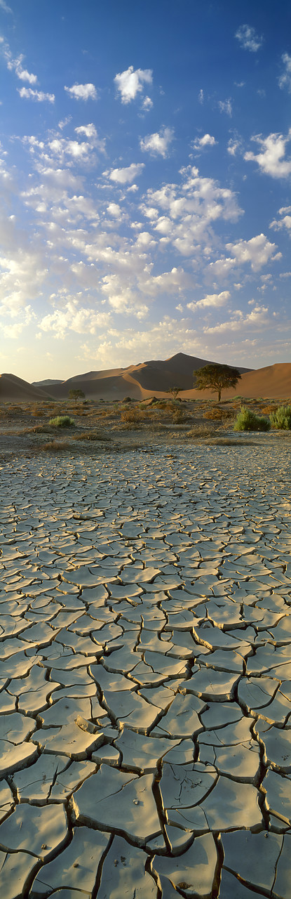 #010073-11 - Cracked Mud Bed, Sossusvlei, Namibia, Africa