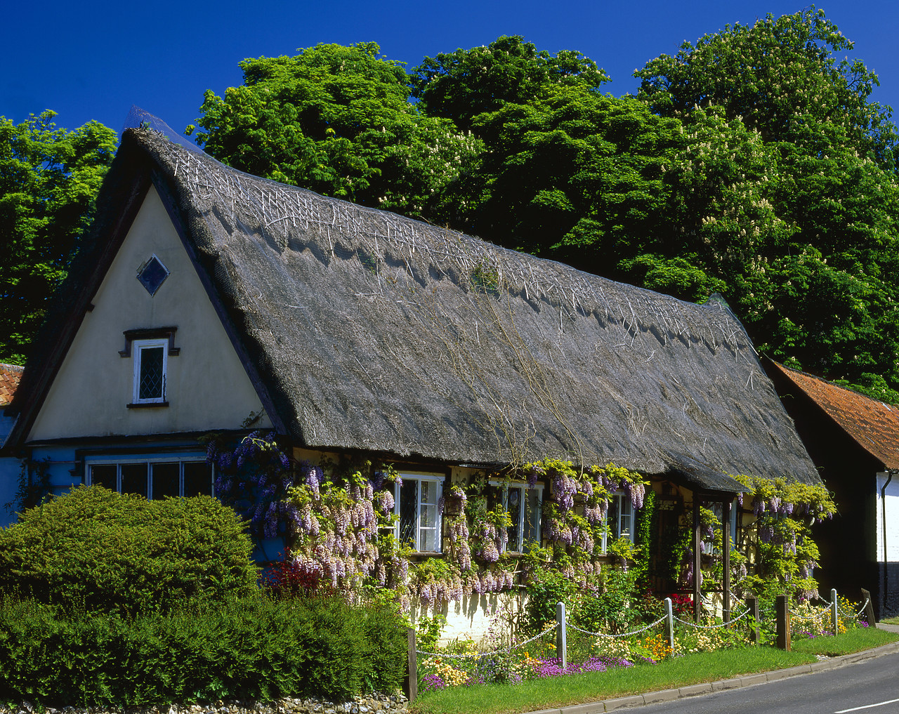 #010622-3 - Old Schoolhouse Cottage in Spring, Saxlingham, Norfolk, England