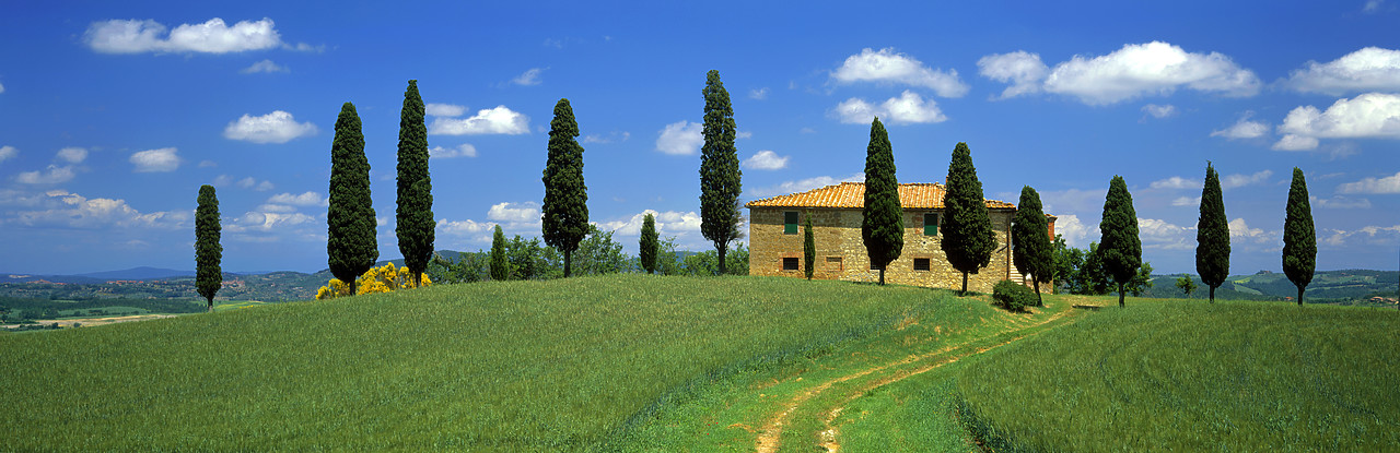 #020100-9 - Track leading to Farmhouse & Cypress Trees, Pienza Tuscany, Italy