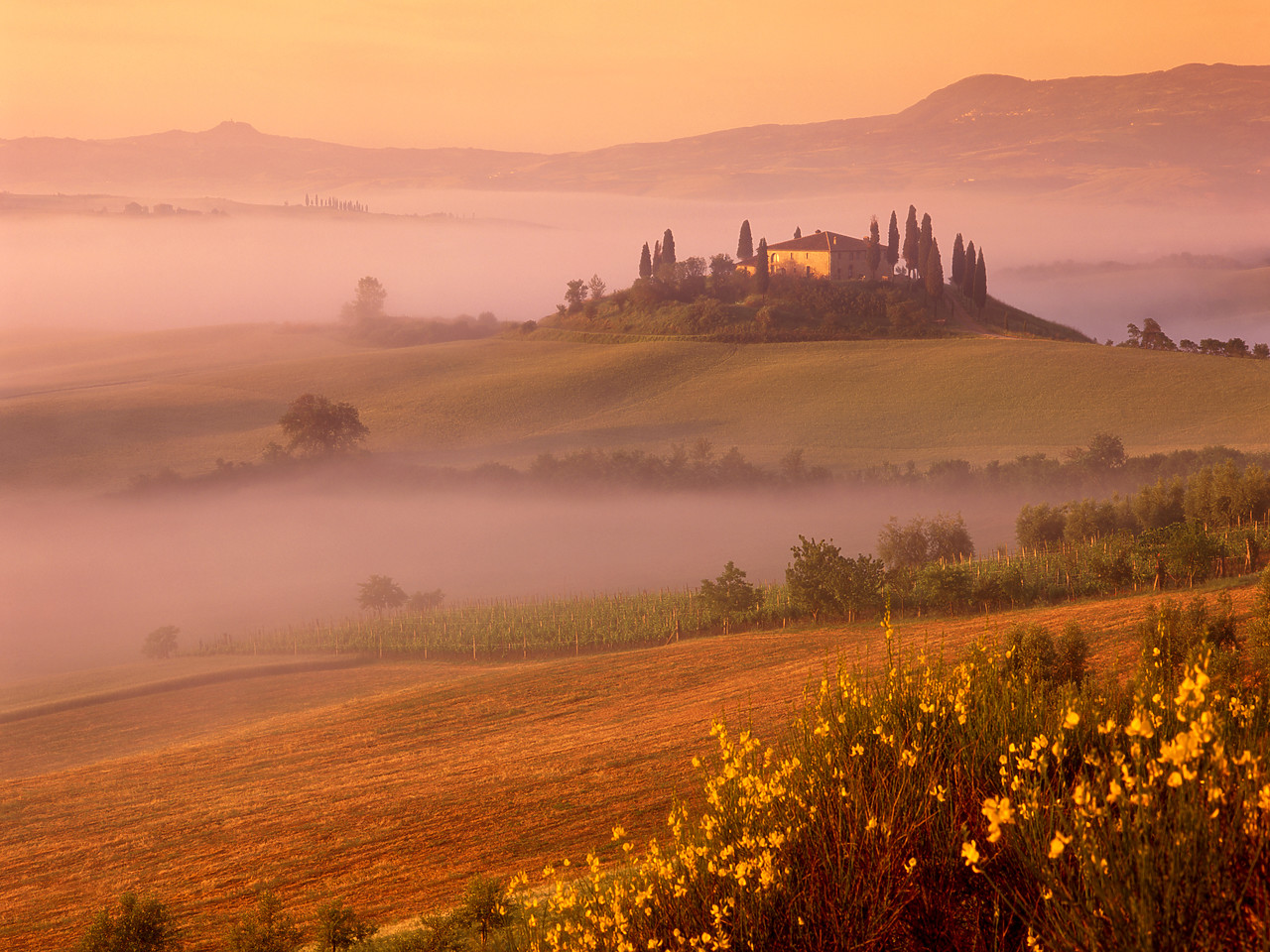 #020133-1 - Belvedere in Mist, San Quirico d'Orcia, Tuscany, Italy