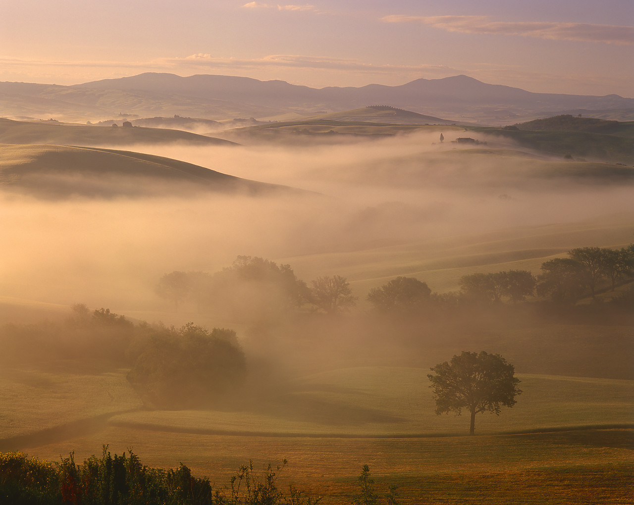 #020145-1 - Valley in Morning Mist, San Quirico, Tuscany, Italy