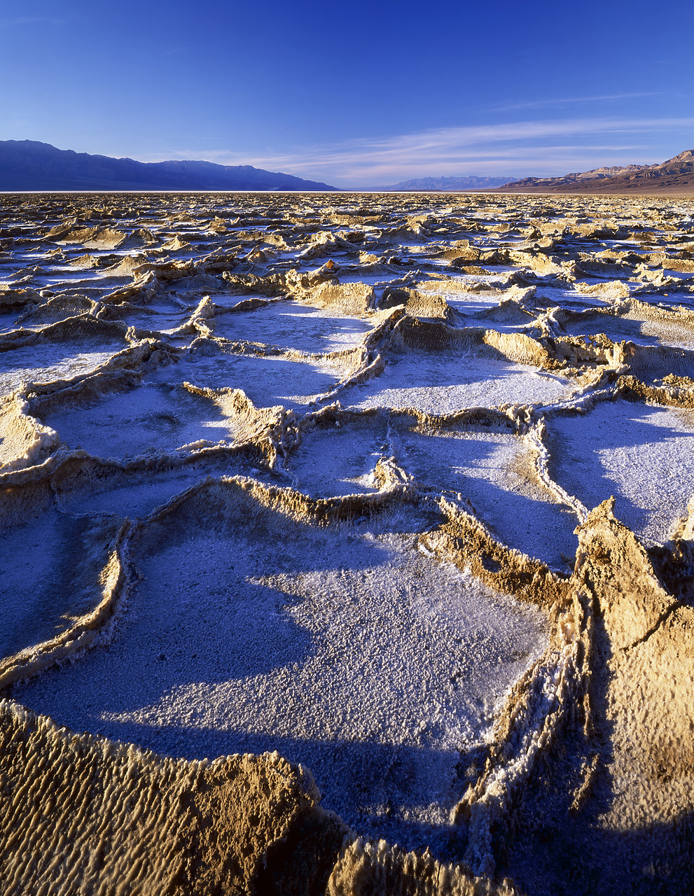 #040023-5 - Salt Polygons, Bad Water, Death Valley National Park, California, USA