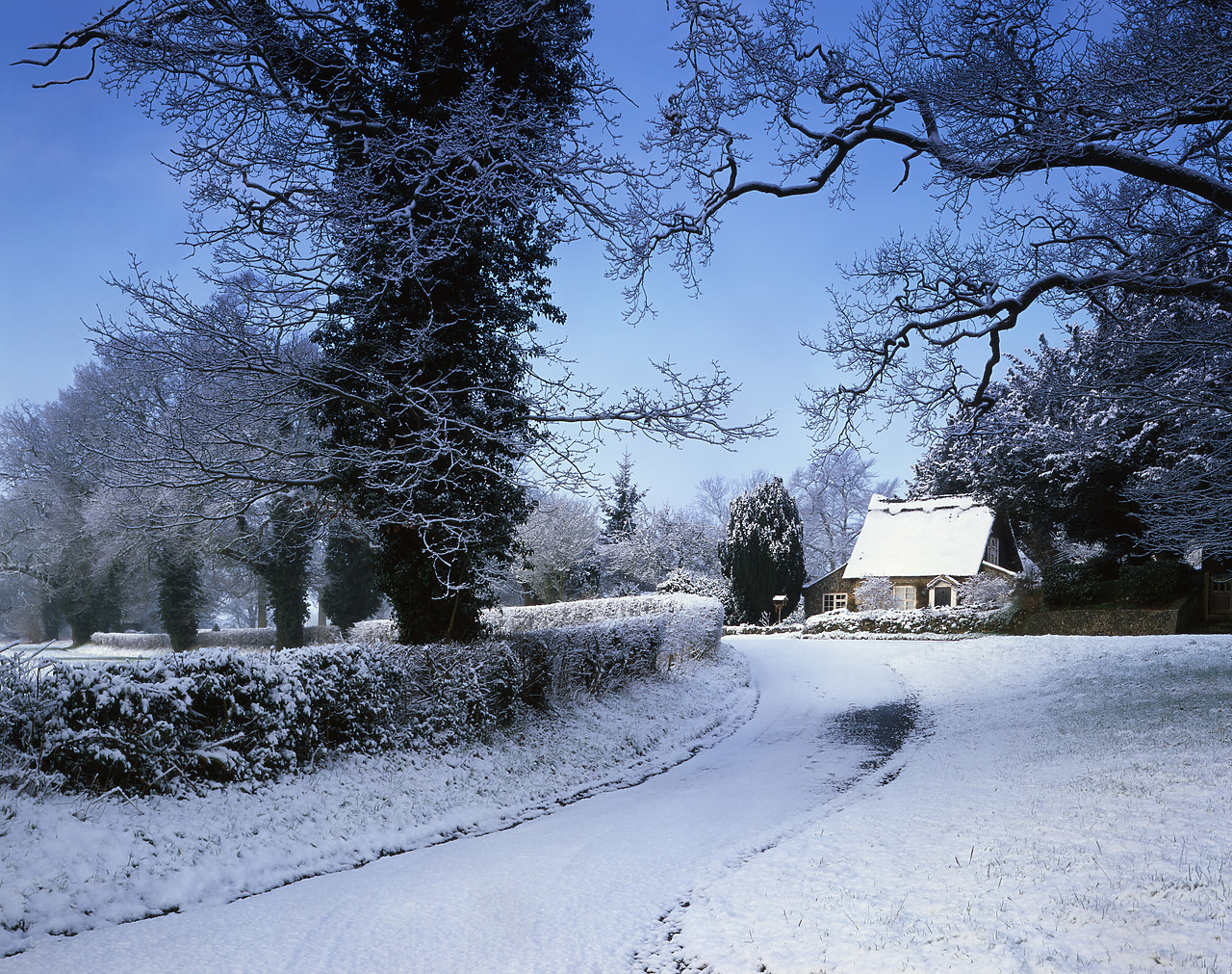 #040060-2 - Country Lane & Cottage in Winter, Intwood, Norfolk, England