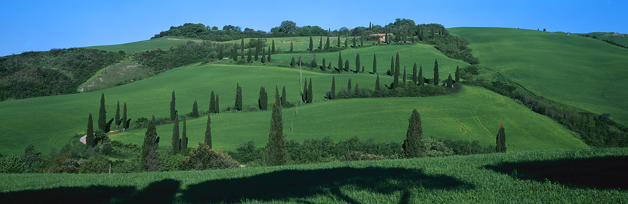 #040094-3 - Winding Road & Cypress Trees, La Foca, Tuscany, Italy