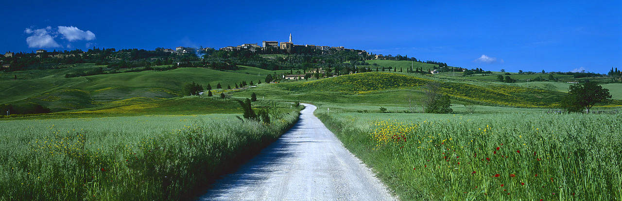 #040117-1 - Road Leading to Pienza, Tuscany, Italy