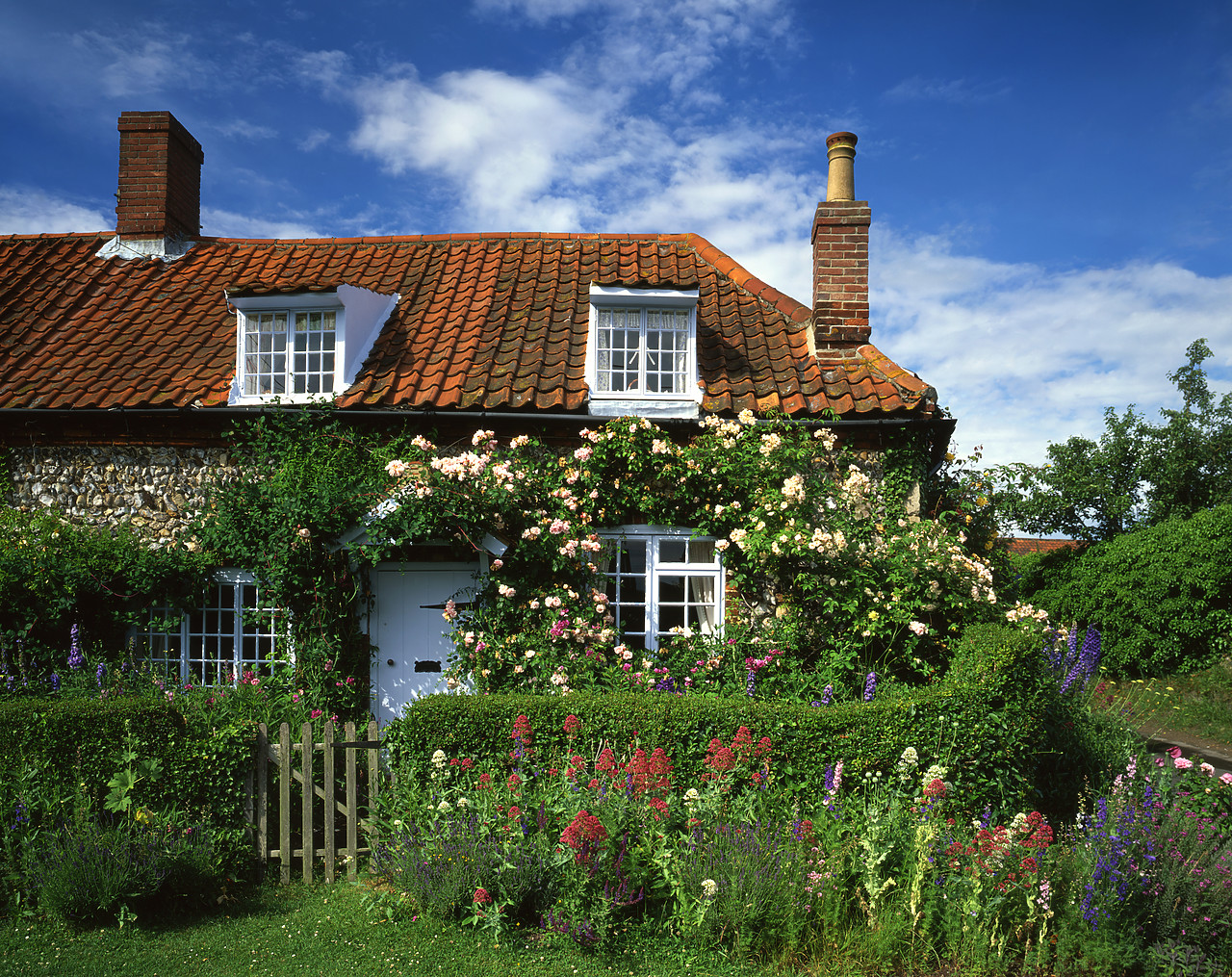 #040156-1 - Flint Cottage & Garden, Great Walsingham, Norfolk, England
