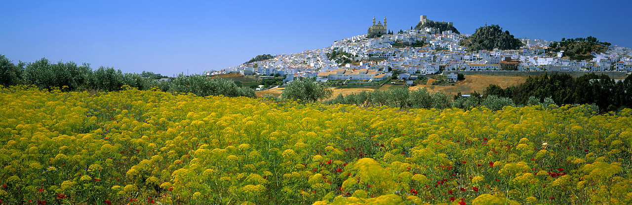 #050094-2 - Olvera & Field of Wildflowers, Andalusia, Spain